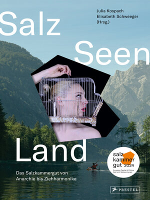 cover image of Salz Seen Land
